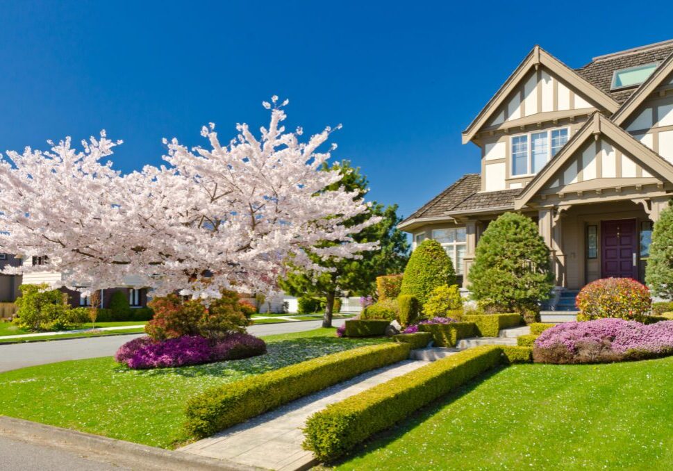 Picture showing the front view of a house with a garden